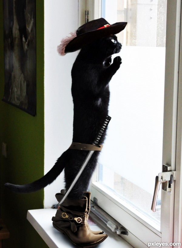 cat in boots